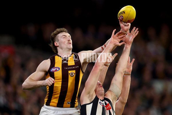 AFL 2025 Round 12 - Collingwood v Hawthorn - A-59745568