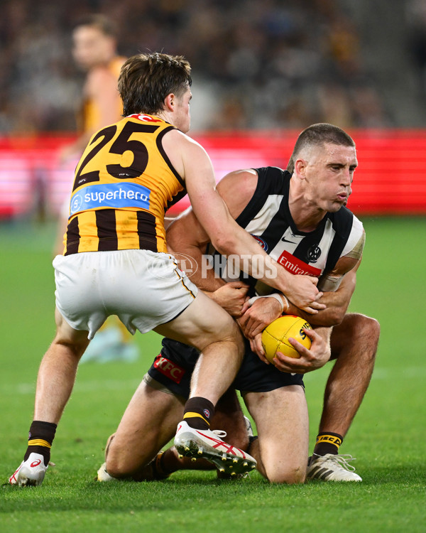 AFL 2025 Round 12 - Collingwood v Hawthorn - A-59745578
