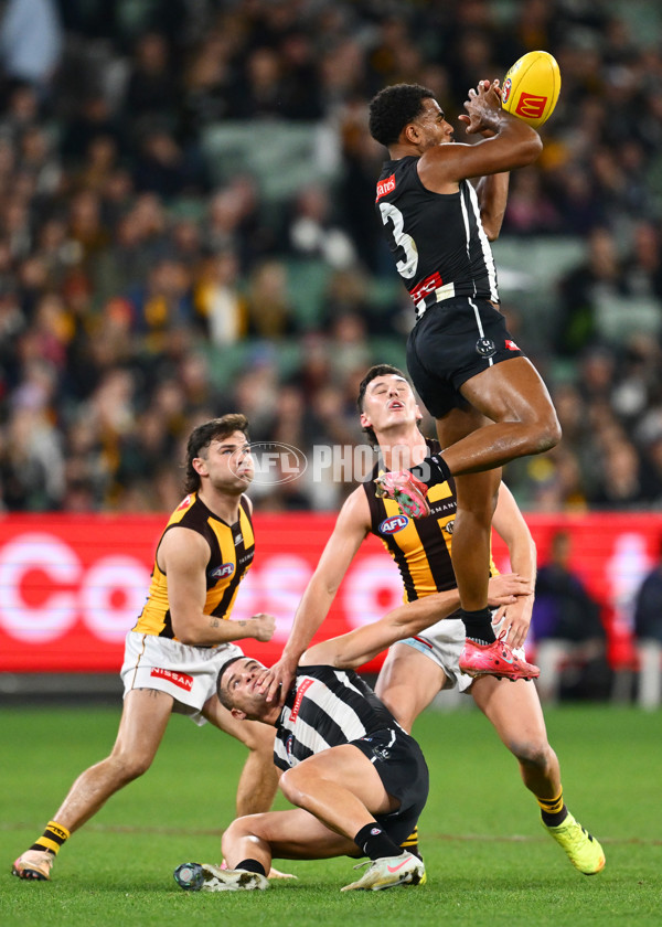 AFL 2025 Round 12 - Collingwood v Hawthorn - A-59745579