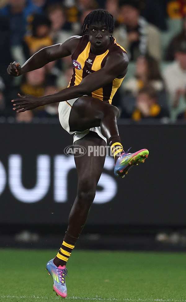 AFL 2025 Round 12 - Collingwood v Hawthorn - A-59745627