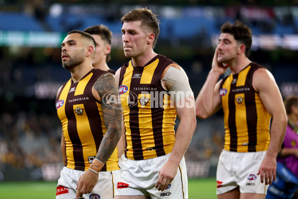 AFL 2025 Round 12 - Collingwood v Hawthorn - A-59748066