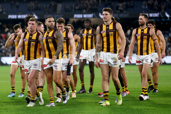 AFL 2025 Round 12 - Collingwood v Hawthorn - A-59748068