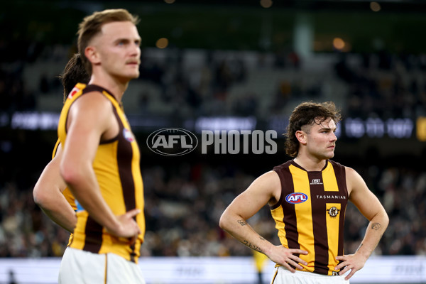 AFL 2025 Round 12 - Collingwood v Hawthorn - A-59748071