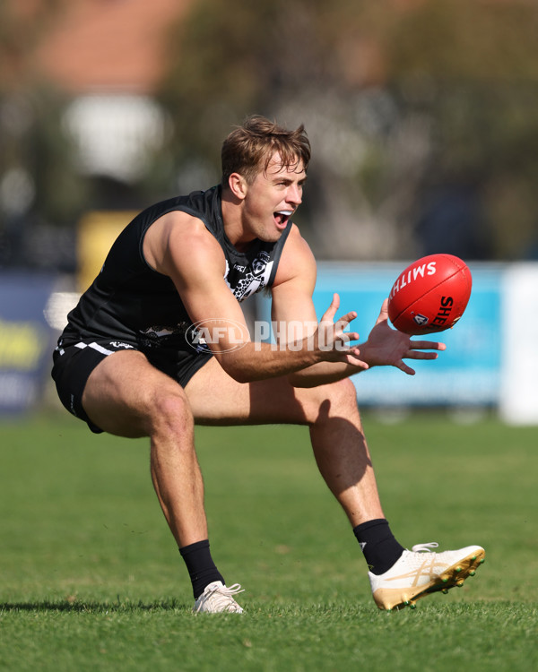 VFL 2025 Round 10 - Northern Bullants v Southport Sharks - A-59748135