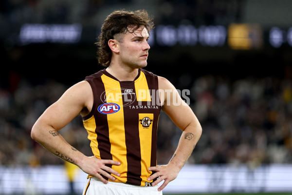 AFL 2025 Round 12 - Collingwood v Hawthorn - A-59748268