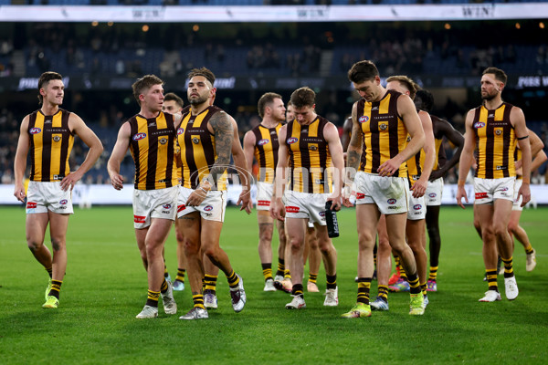 AFL 2025 Round 12 - Collingwood v Hawthorn - A-59748298