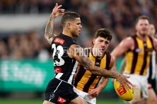 AFL 2025 Round 12 - Collingwood v Hawthorn - A-59748300