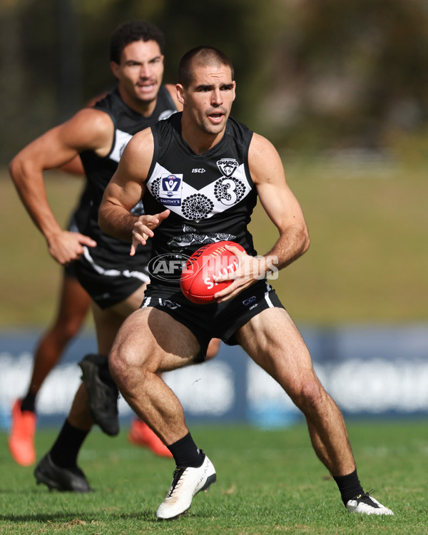 VFL 2025 Round 10 - Northern Bullants v Southport Sharks - A-59748311