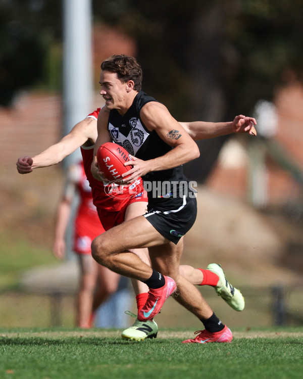 VFL 2025 Round 10 - Northern Bullants v Southport Sharks - A-59748312