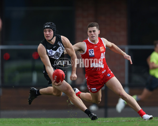VFL 2025 Round 10 - Northern Bullants v Southport Sharks - A-59751064
