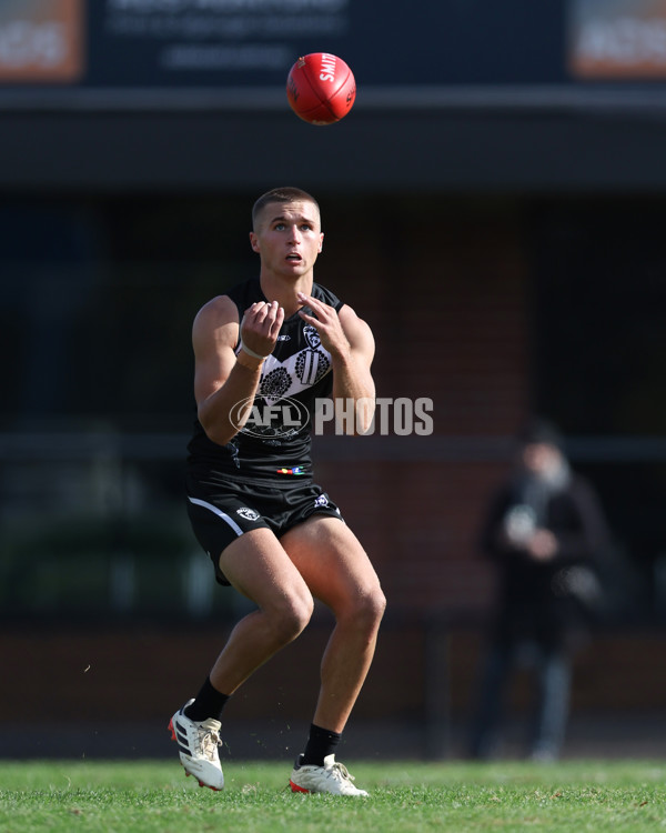 VFL 2025 Round 10 - Northern Bullants v Southport Sharks - A-59755981