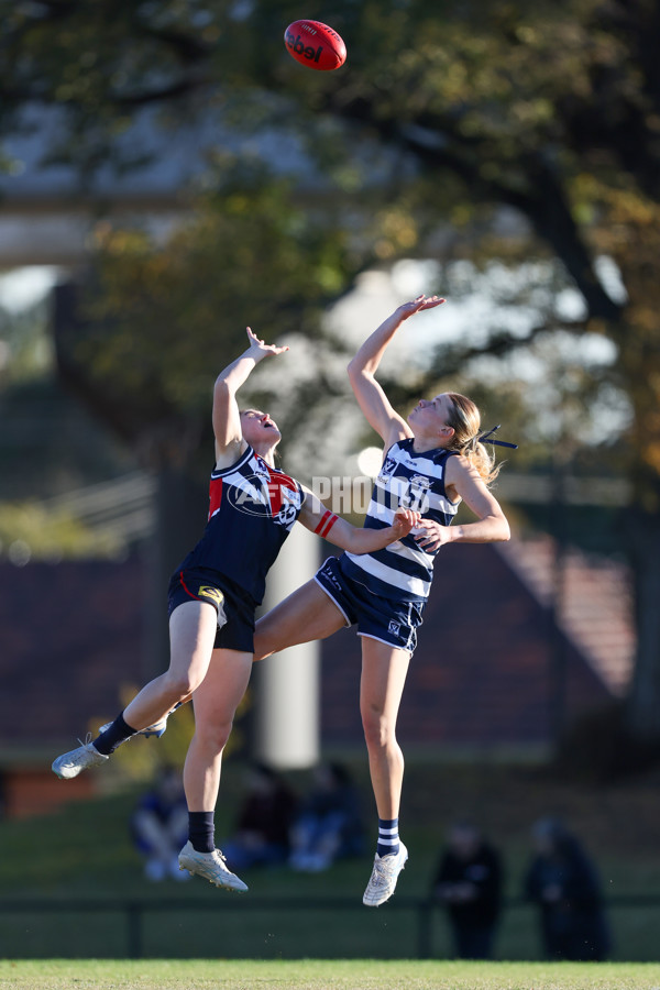 VFLW 2025 Round 07 - Darebin Falcons v Geelong Cats - A-59765626