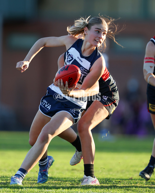 VFLW 2025 Round 07 - Darebin Falcons v Geelong Cats - A-59766154