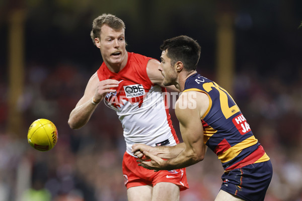 AFL 2025 Round 12 - Sydney v Adelaide - A-59771111