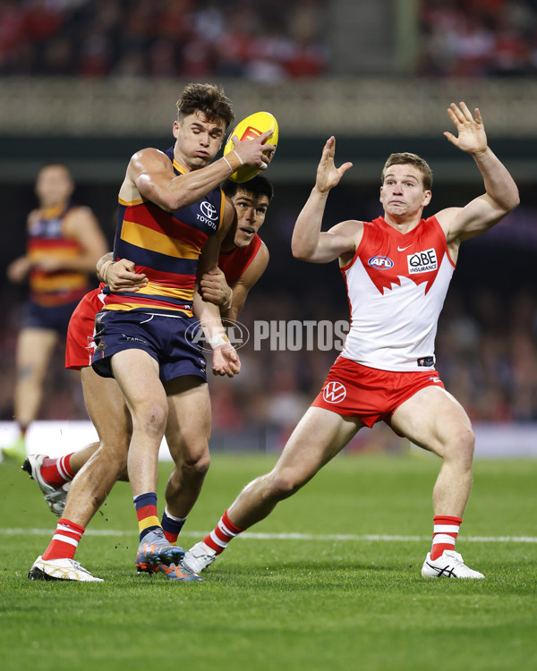 AFL 2025 Round 12 - Sydney v Adelaide - A-59771113
