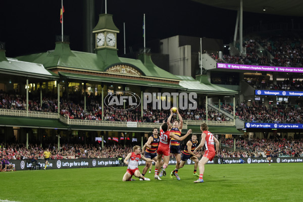 AFL 2025 Round 12 - Sydney v Adelaide - A-59771142