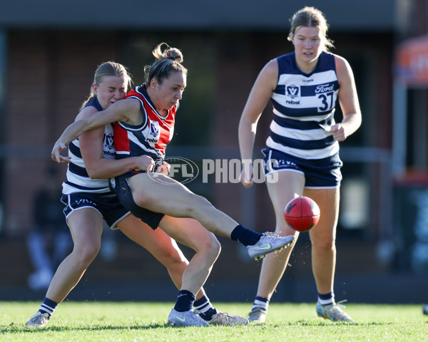 VFLW 2025 Round 07 - Darebin Falcons v Geelong Cats - A-59771151