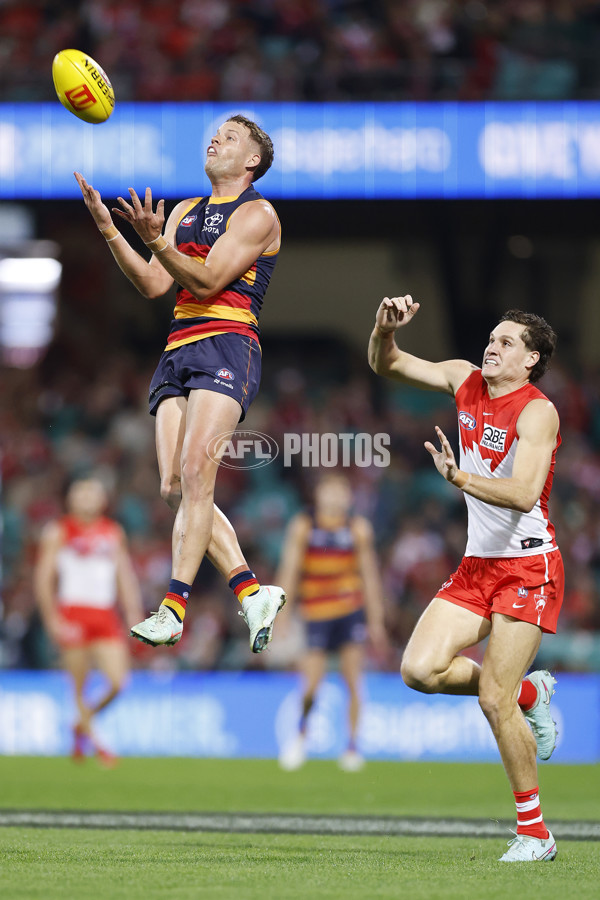 AFL 2025 Round 12 - Sydney v Adelaide - A-59771168