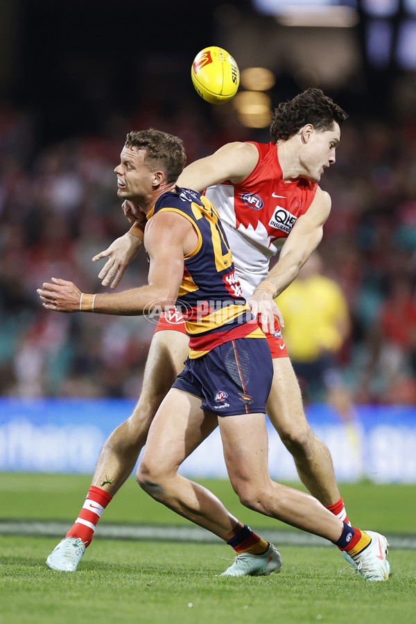 AFL 2025 Round 12 - Sydney v Adelaide - A-59771169