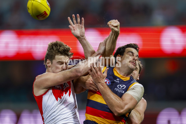 AFL 2025 Round 12 - Sydney v Adelaide - A-59771175