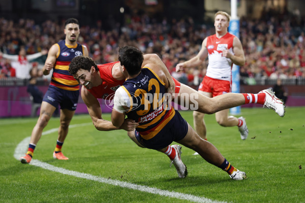 AFL 2025 Round 12 - Sydney v Adelaide - A-59771176