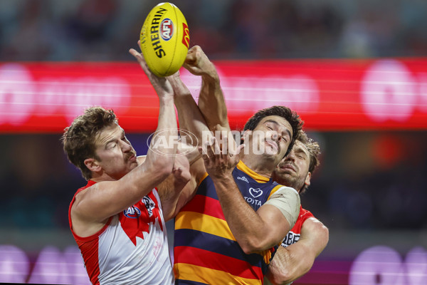 AFL 2025 Round 12 - Sydney v Adelaide - A-59771177