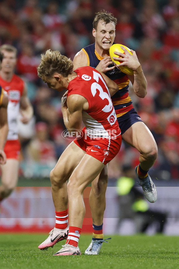 AFL 2025 Round 12 - Sydney v Adelaide - A-59771181