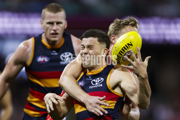 AFL 2025 Round 12 - Sydney v Adelaide - A-59771188