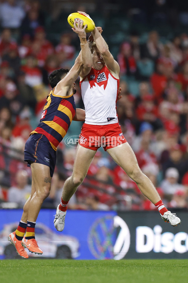 AFL 2025 Round 12 - Sydney v Adelaide - A-59771656