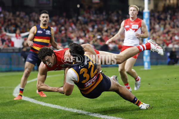 AFL 2025 Round 12 - Sydney v Adelaide - A-59771662