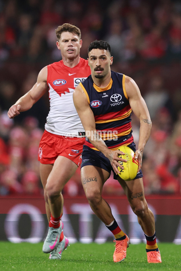 AFL 2025 Round 12 - Sydney v Adelaide - A-59771663