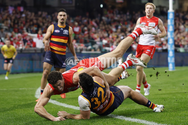 AFL 2025 Round 12 - Sydney v Adelaide - A-59771667