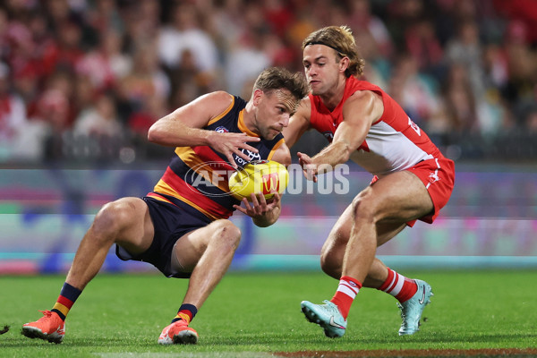 AFL 2025 Round 12 - Sydney v Adelaide - A-59771674