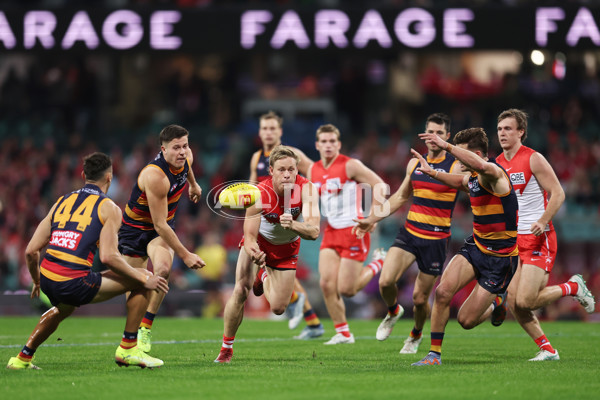 AFL 2025 Round 12 - Sydney v Adelaide - A-59771676