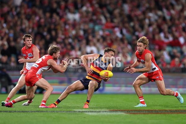 AFL 2025 Round 12 - Sydney v Adelaide - A-59771677