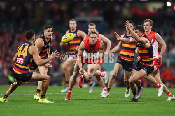 AFL 2025 Round 12 - Sydney v Adelaide - A-59771678