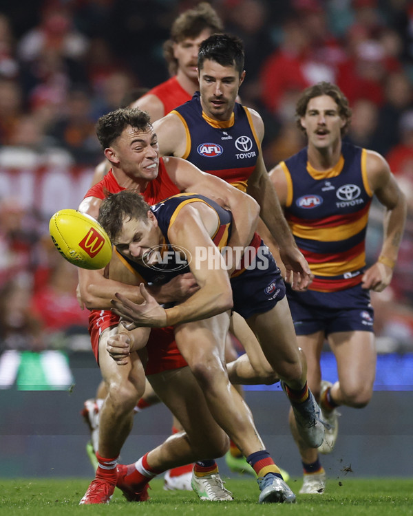 AFL 2025 Round 12 - Sydney v Adelaide - A-59771686