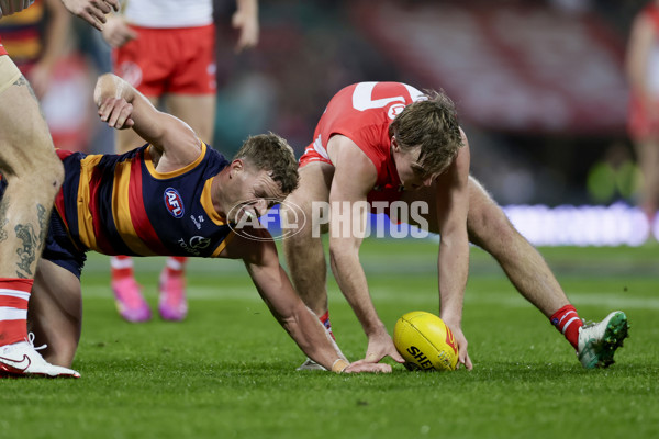 AFL 2025 Round 12 - Sydney v Adelaide - A-59773847