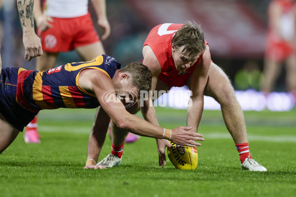 AFL 2025 Round 12 - Sydney v Adelaide - A-59773848
