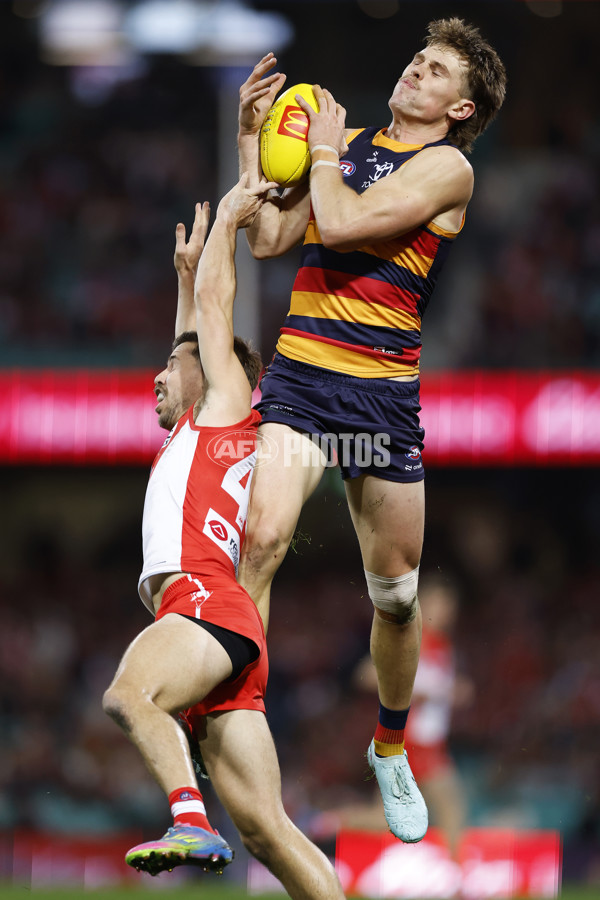 AFL 2025 Round 12 - Sydney v Adelaide - A-59773857