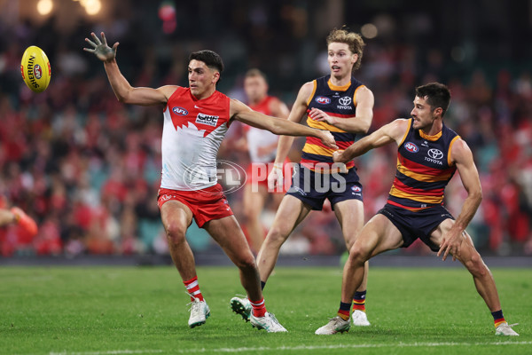 AFL 2025 Round 12 - Sydney v Adelaide - A-59773870