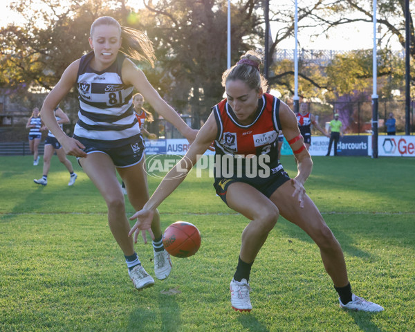 VFLW 2025 Round 07 - Darebin Falcons v Geelong Cats - A-59773882