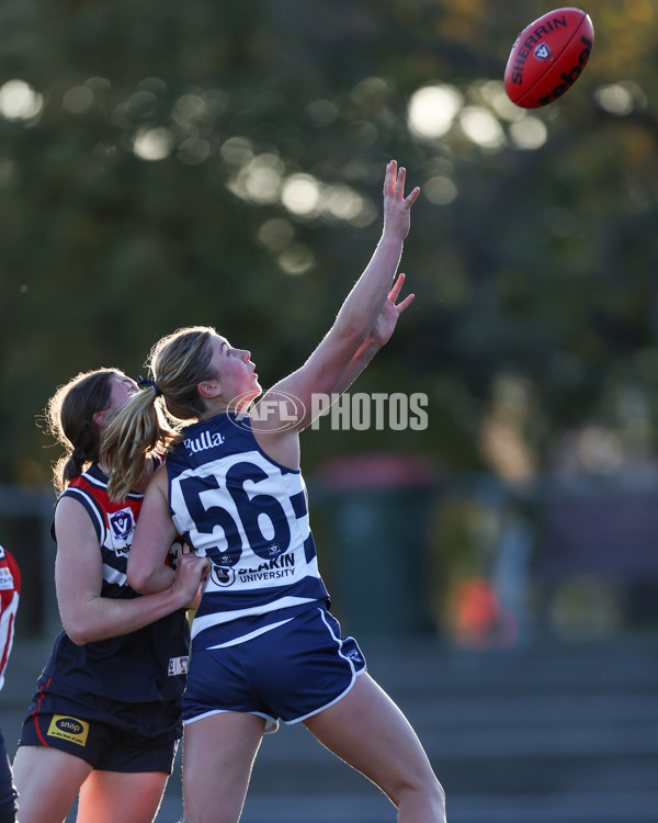 VFLW 2025 Round 07 - Darebin Falcons v Geelong Cats - A-59773901