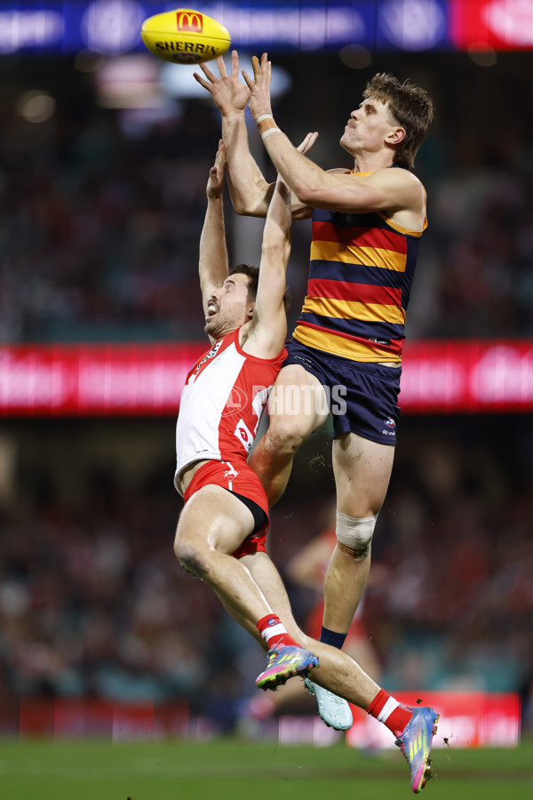 AFL 2025 Round 12 - Sydney v Adelaide - A-59774538