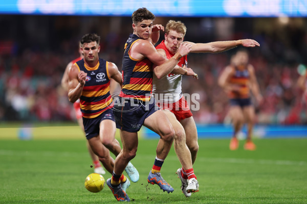 AFL 2025 Round 12 - Sydney v Adelaide - A-59774557