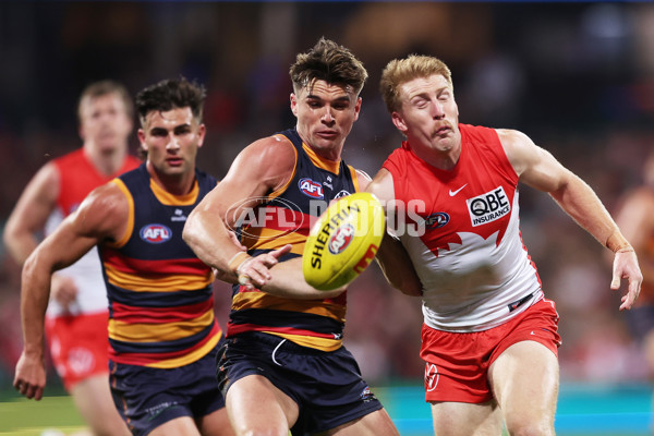 AFL 2025 Round 12 - Sydney v Adelaide - A-59774558