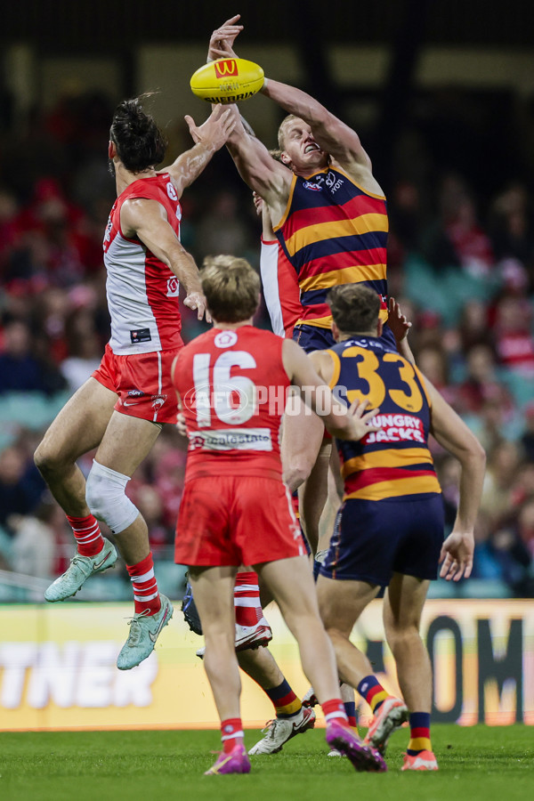 AFL 2025 Round 12 - Sydney v Adelaide - A-59774593
