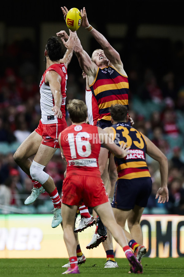AFL 2025 Round 12 - Sydney v Adelaide - A-59774594