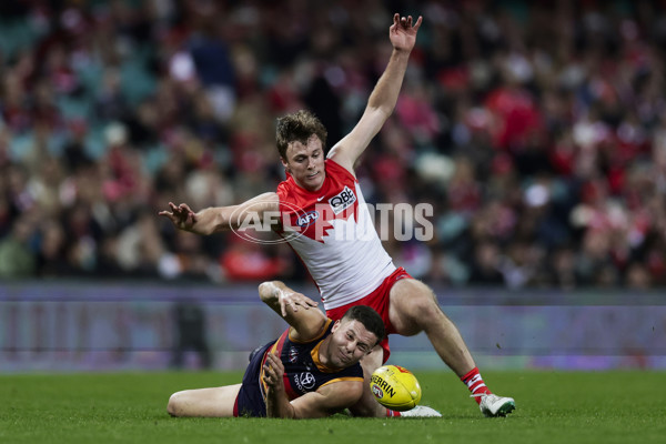 AFL 2025 Round 12 - Sydney v Adelaide - A-59774605