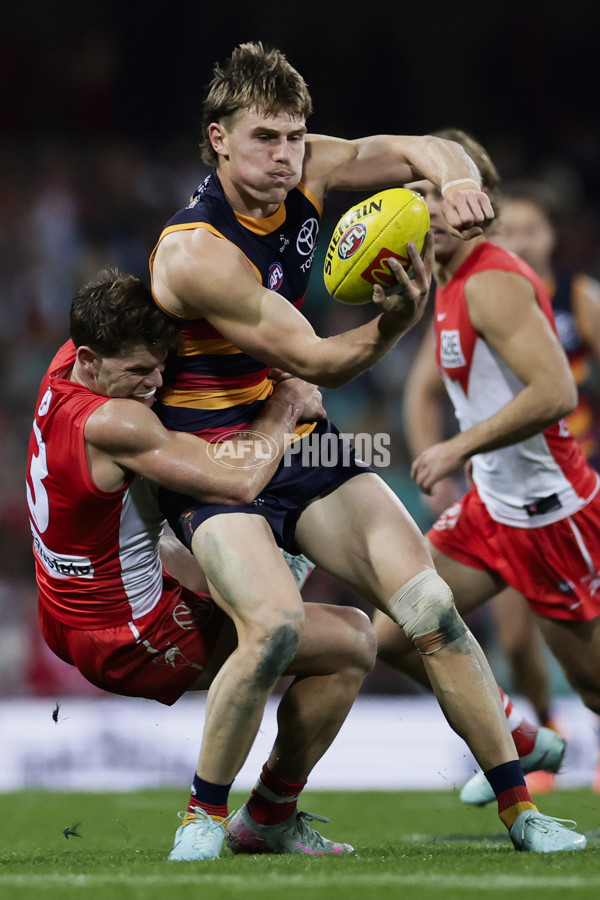 AFL 2025 Round 12 - Sydney v Adelaide - A-59774607